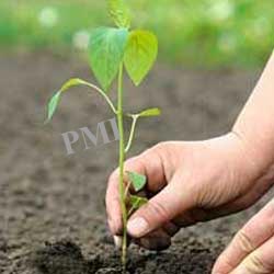 Environment Protection 