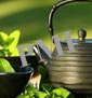 Herbal Industry